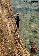 Wellington_OlderSlowerWiserPitch3_ByNeilMargetts