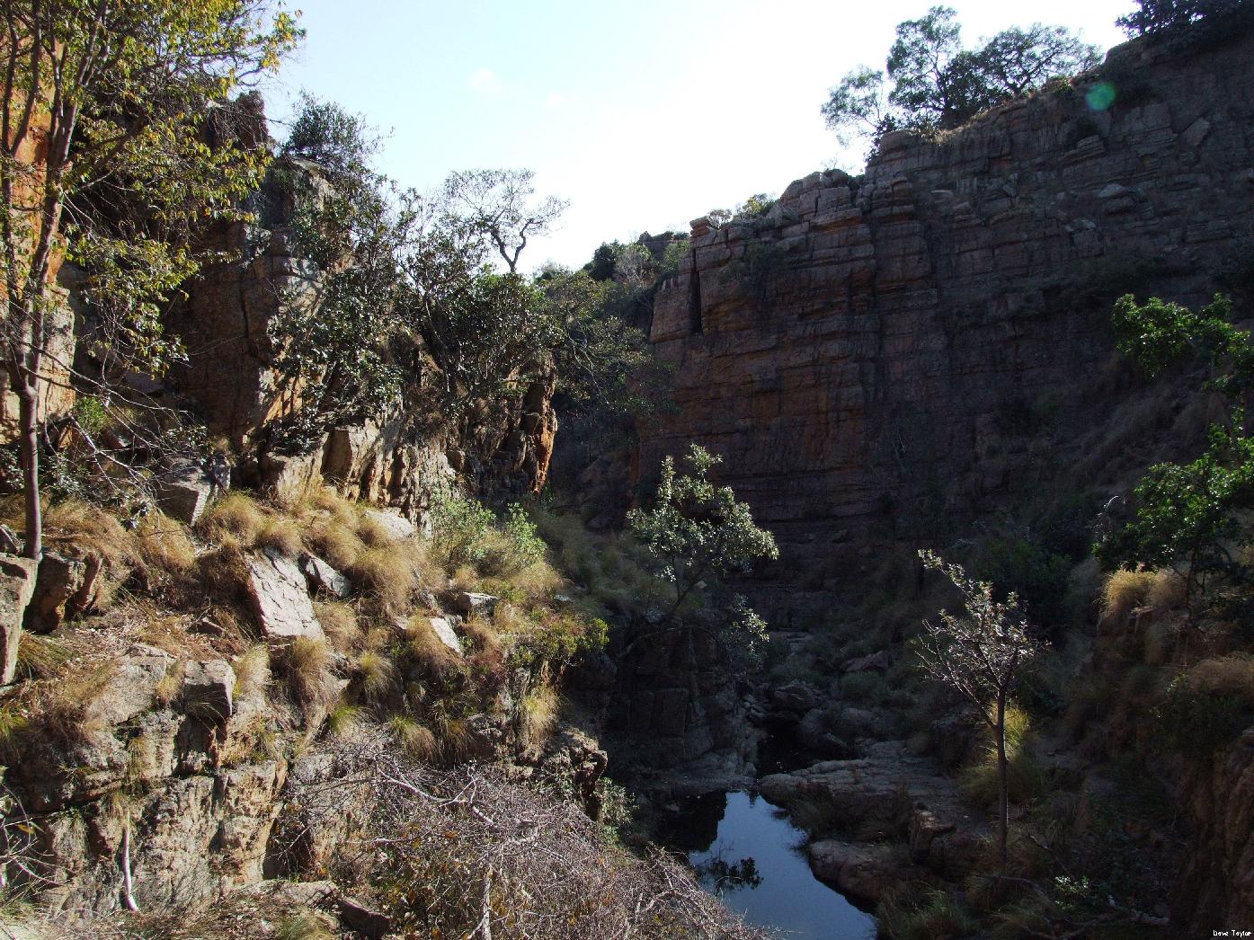 Kranskloof3_ByDaveTaylor