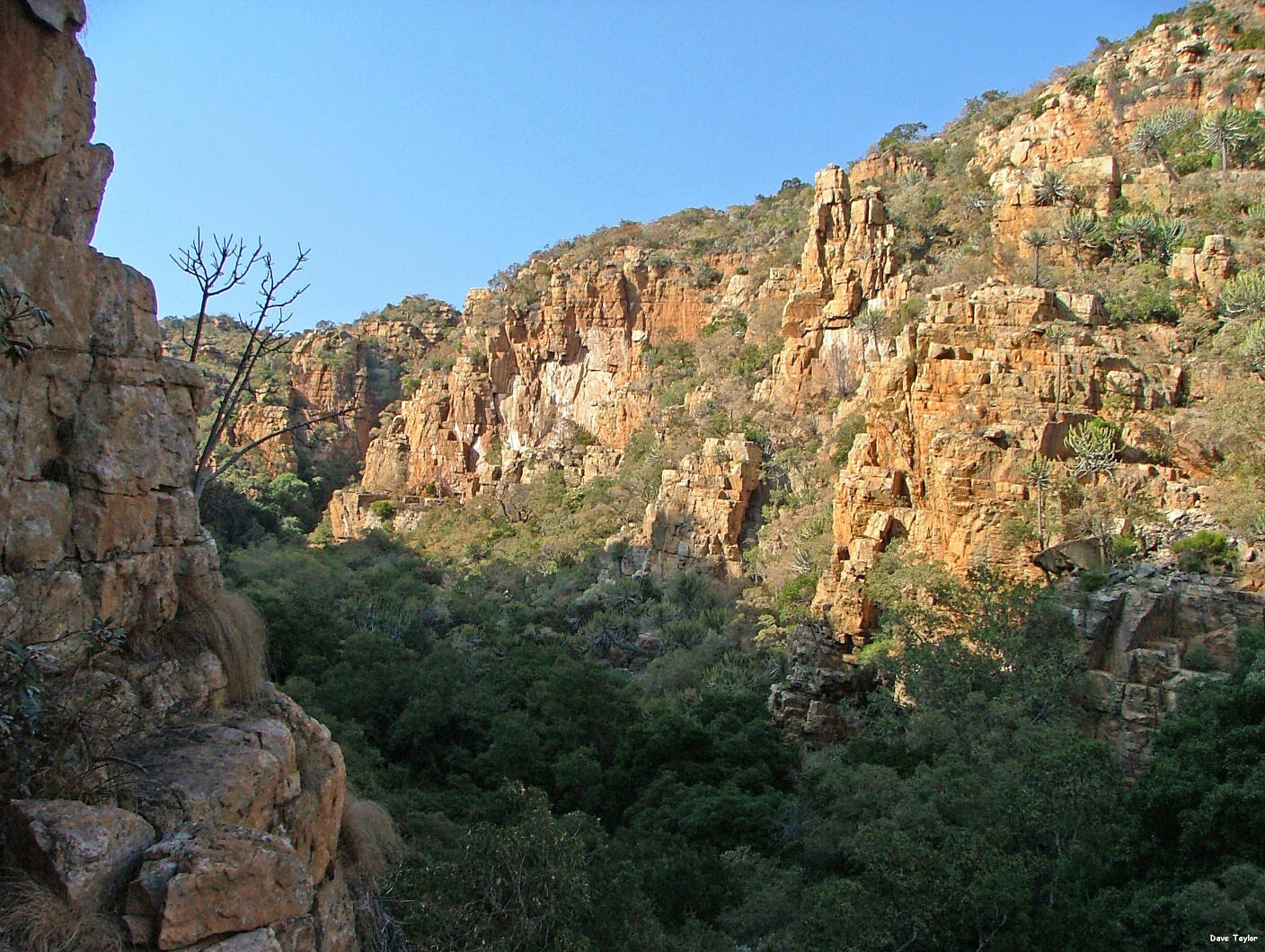 Kranskloof1_ByDaveTaylor