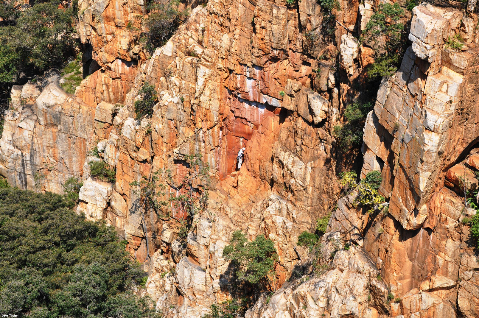 Kranskloof2_ByDaveTaylor
