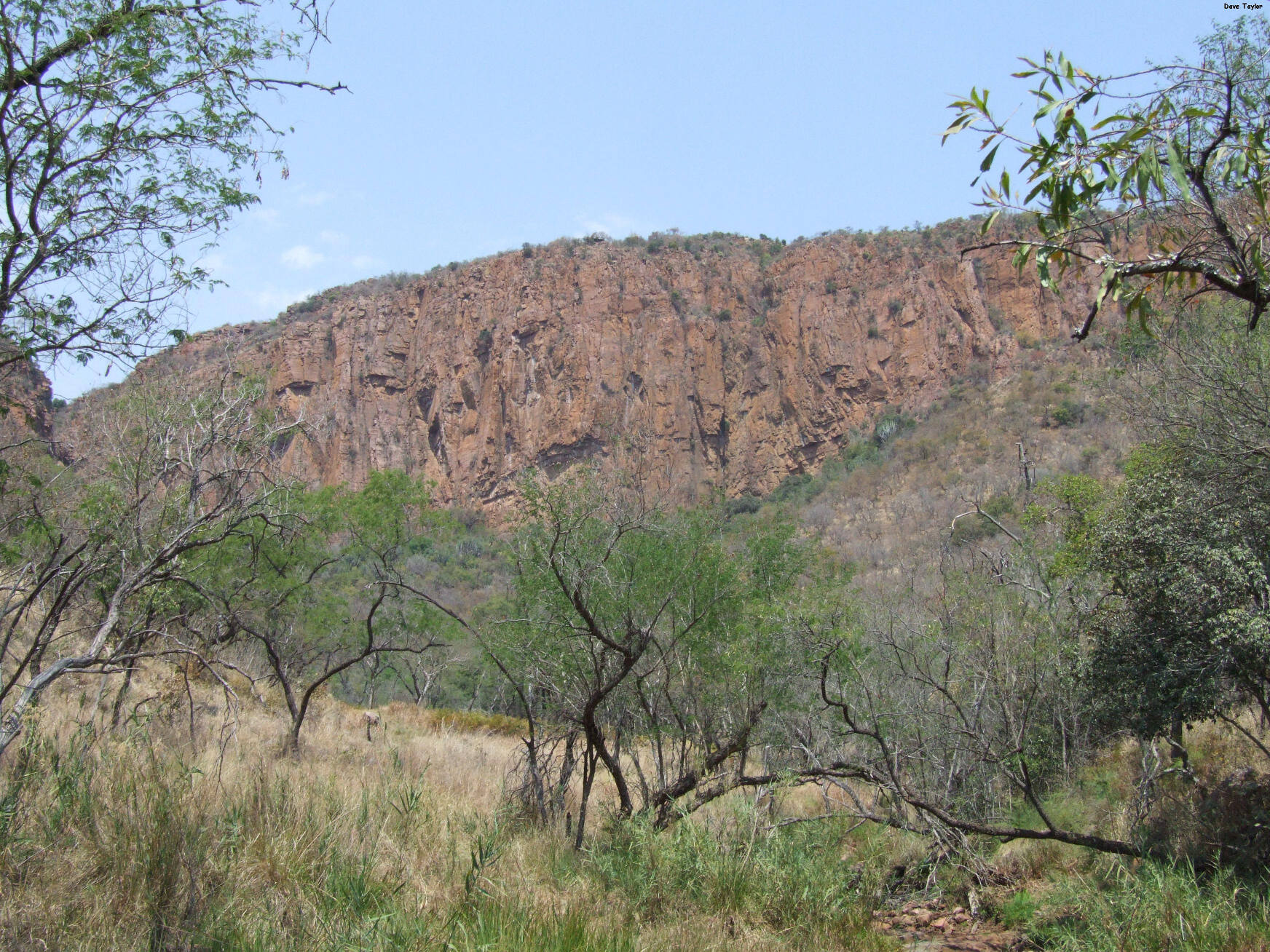 Magageni4_ByDaveTaylor